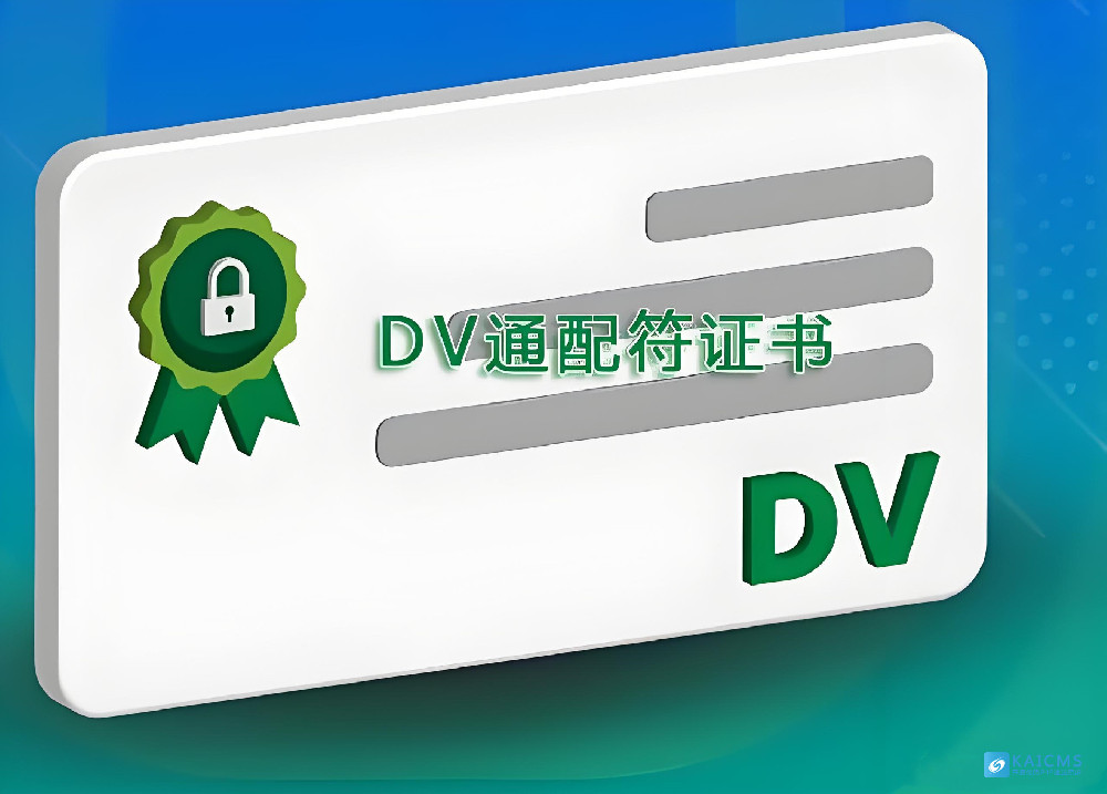 DV 证书